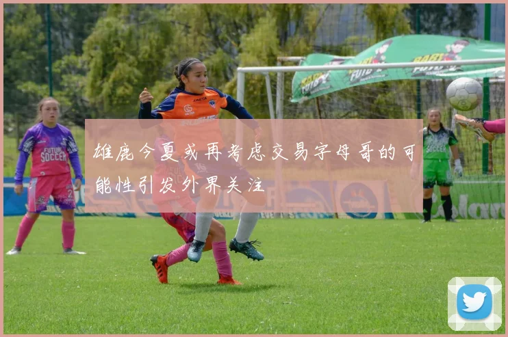 雄鹿今夏或再考虑交易字母哥的可能性引发外界关注
